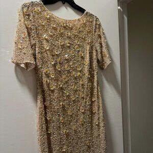 Sparkling size 12 champagne Adrianna Papell dress